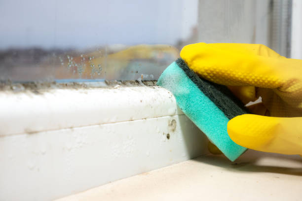 Best Water Damage Restoration  in Spring Ridge, MD